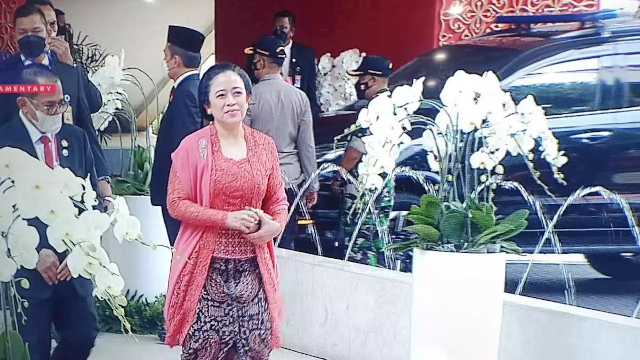 Puan Maharani Kritik Pemerintah Daerah Punya Visi Misi Sendiri