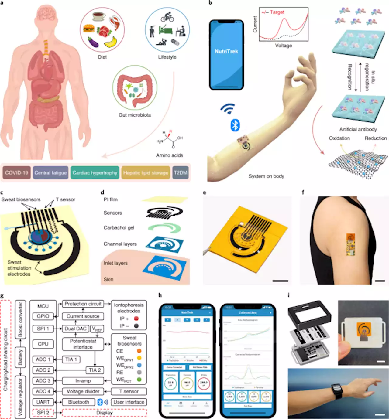 A wearable electrochemical biosensor for the monitoring of metabolites and nutrients - Nature Biomedical Engineering