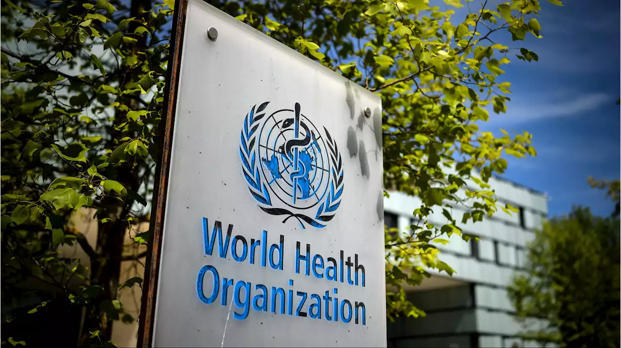 World Health Organization Plans to Rename Monkeypox Over Stigmatization Concerns