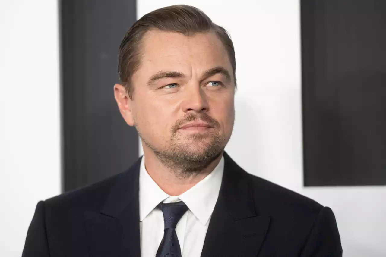 Leonardo DiCaprio funneled grants through dark money group to fund climate nuisance lawsuits