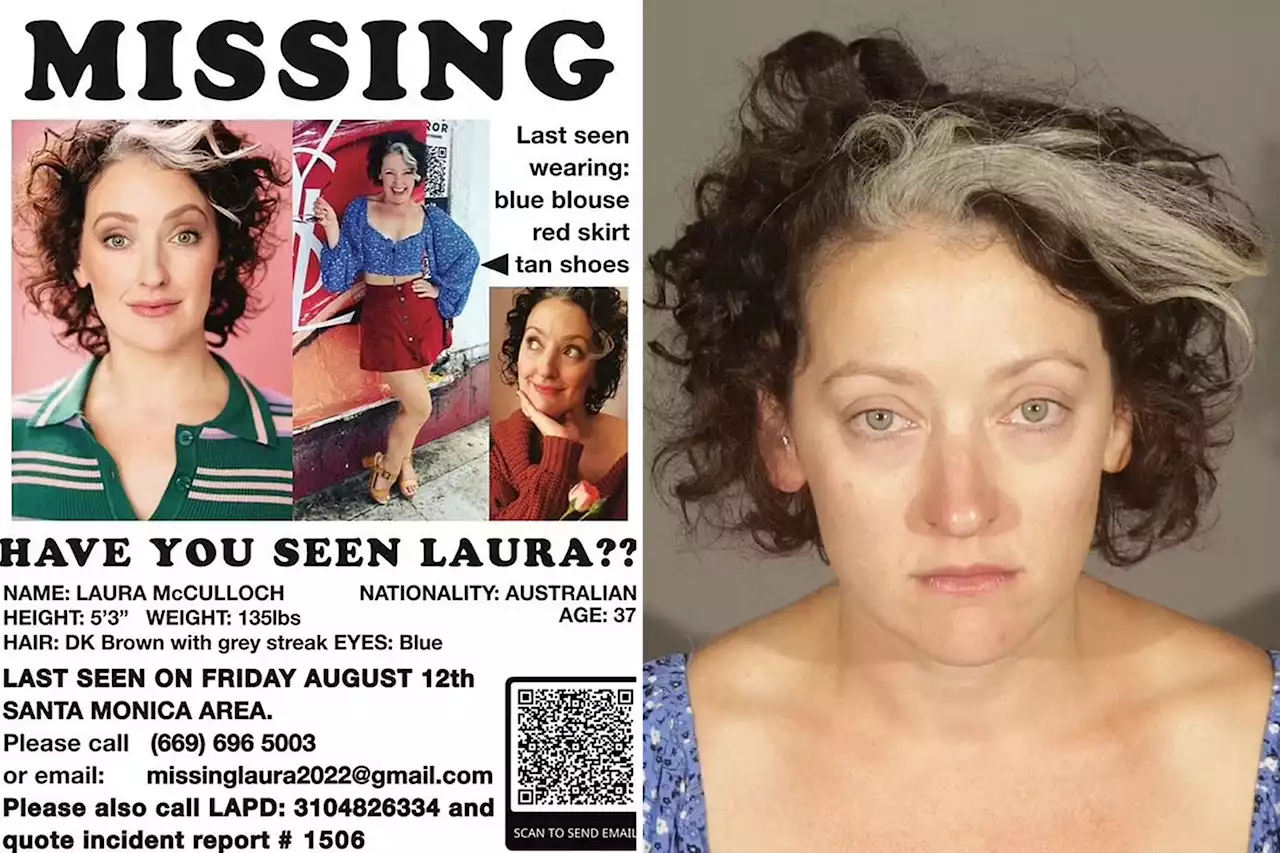 ‘Missing’ actress Laura McCulloch arrested in LA after throwing drink at mom, baby