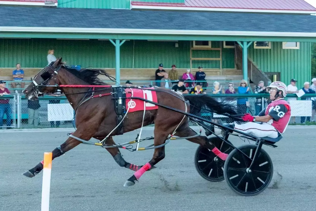 Dontblvmejustwatch feature winner at Northside Downs in North Sydney | SaltWire