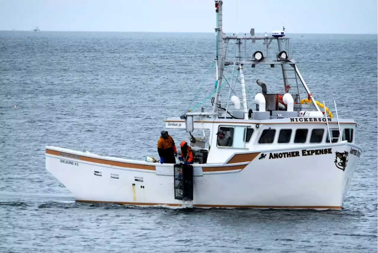 Pilot project to help Northumberland Strait fishermen create tourism experiences | SaltWire