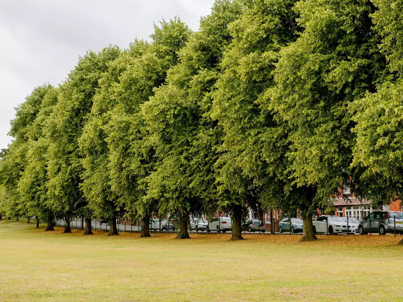 Park in Oswestry cordoned off by police