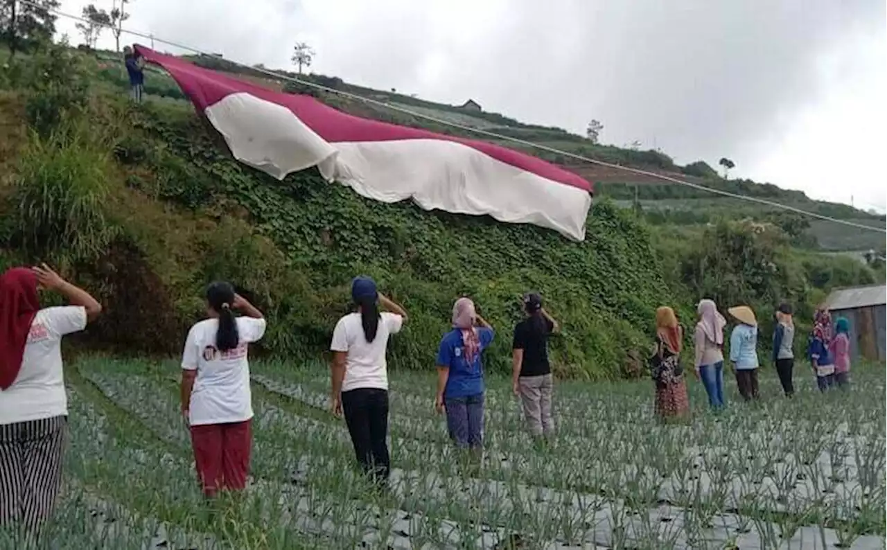 HUT ke-77 RI, Warga Boyolali Kibarkan Bendera Raksasa di Lereng Merbabu