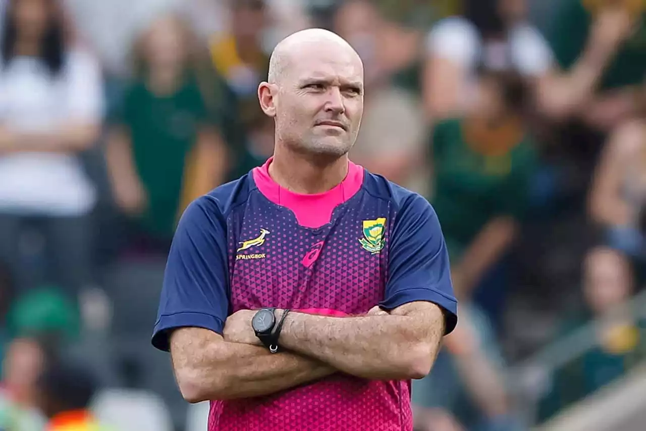 OPINION: Nienaber's tinkering is detrimental to Springbok team | The Citizen