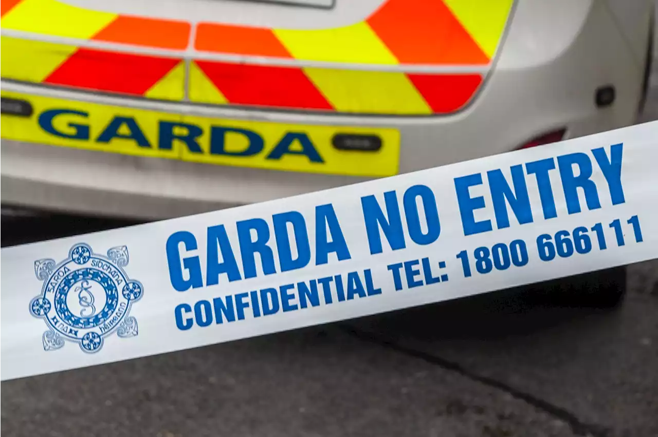 Miriam Burns: Gardaí Arrest A Man In His 50s On Suspicion Of Murder