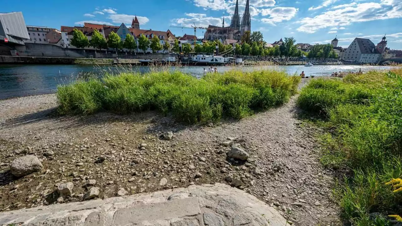 wenn die lebensadern schwinden