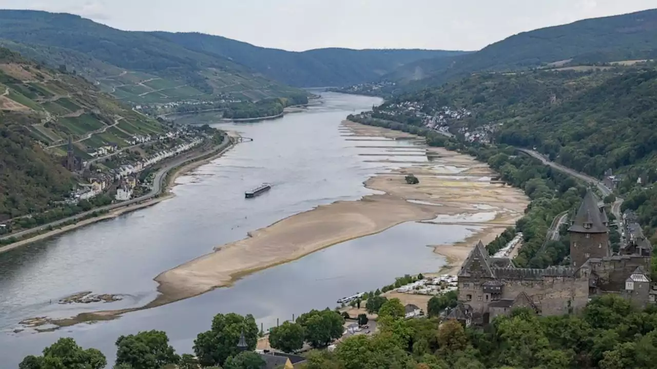 Europe drought: German industry at risk as Rhine falls