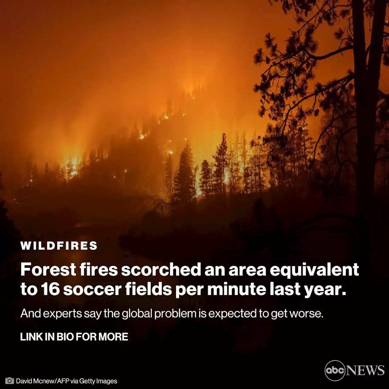 Forest fires destroyed nearly 23 million acres of land in 2021, and it's expected to get worse, experts say