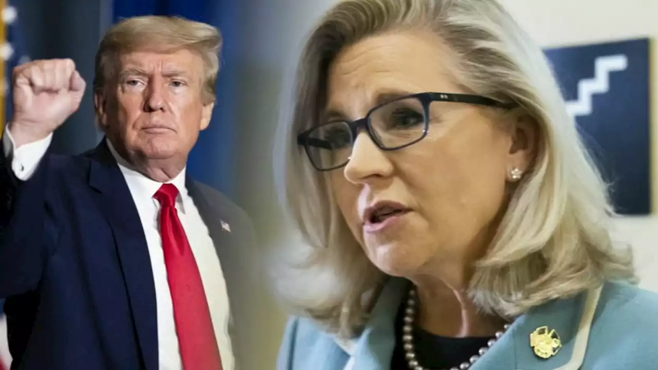 Trump foe Liz Cheney defeated in Wyoming Republican House primary