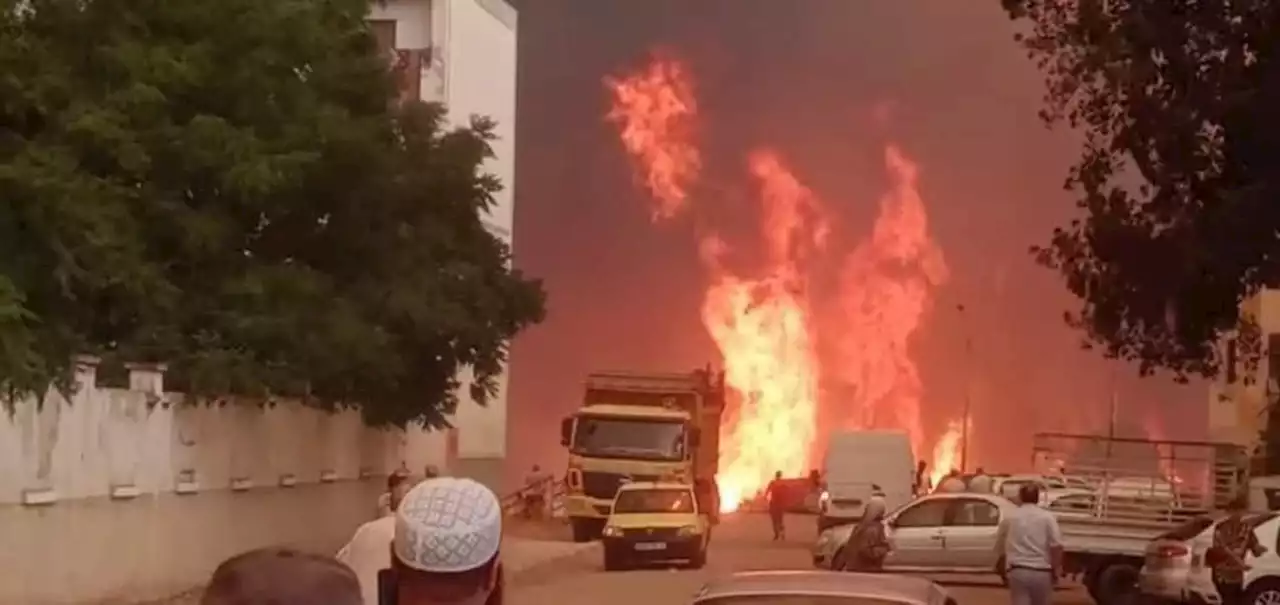 جريدة الرياض | اندلاع حرائق غابات في الجزائر.. ووفاة 26 شخصا وإصابة 45 آخرين