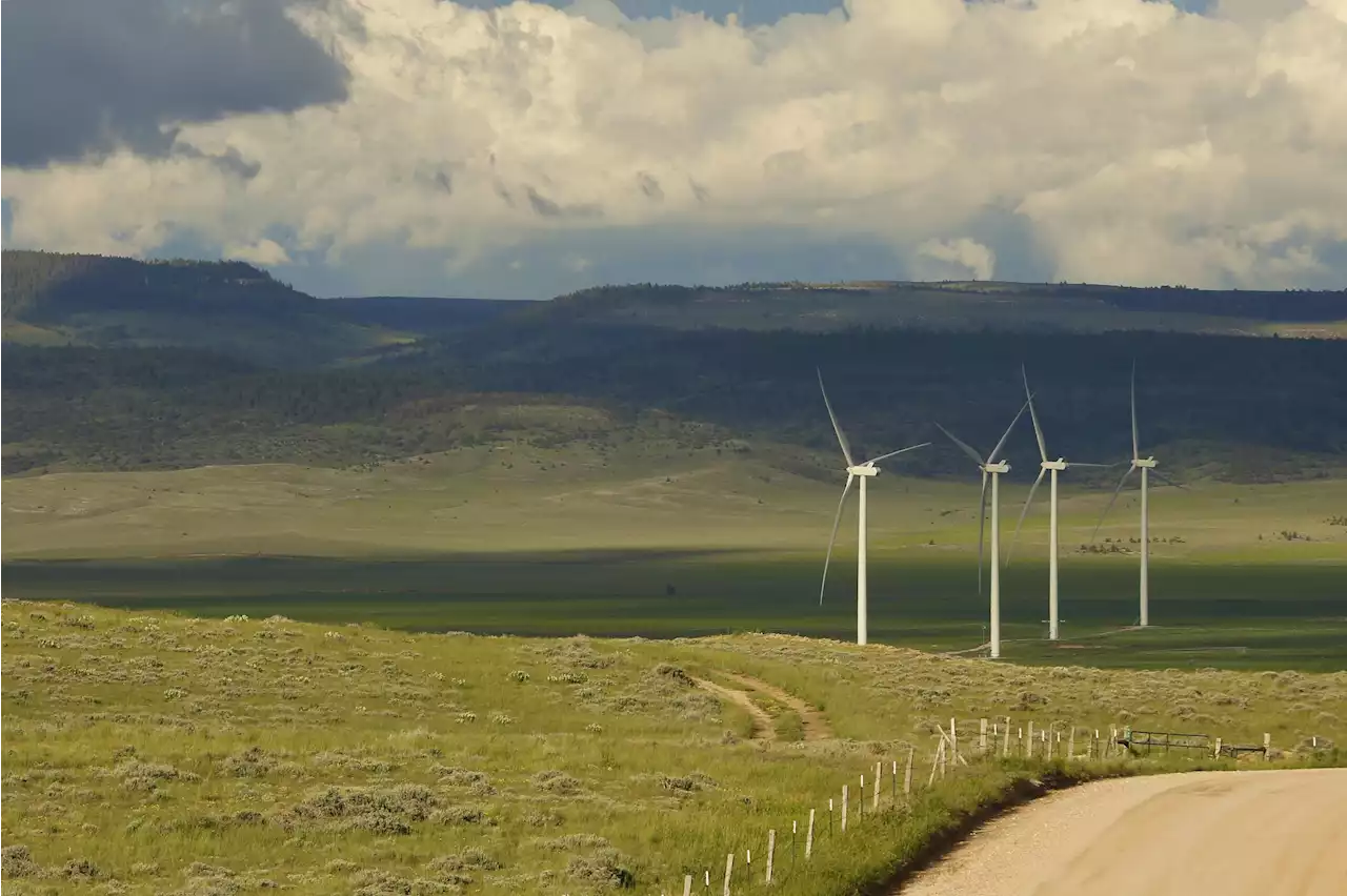 Wind energy boom and golden eagles collide in the US West