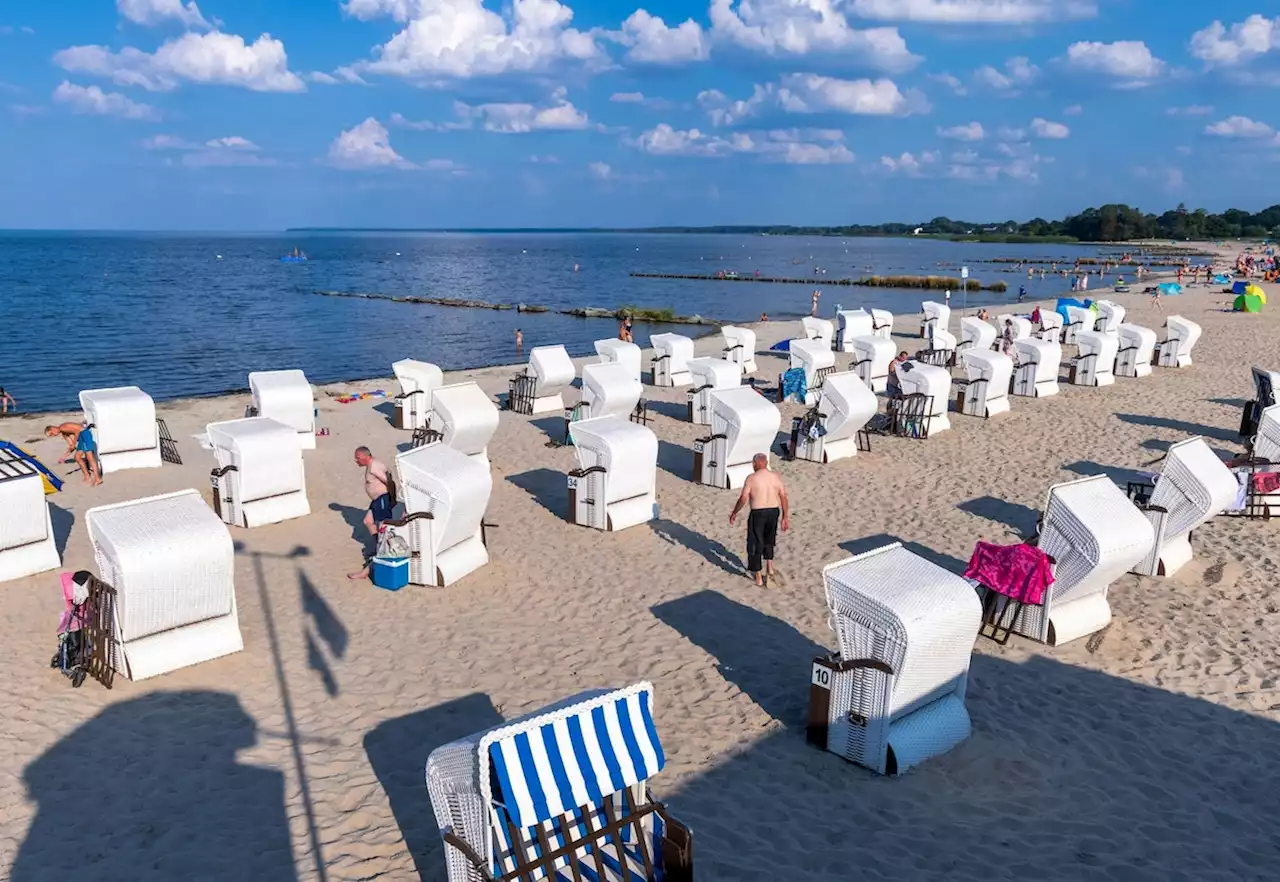 Fischsterben in der Oder: Sorge um Stettiner Haff wächst