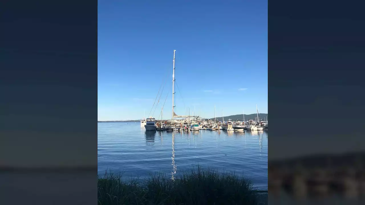 World's largest single-masted sailing yacht docked at Mill Bay Marina