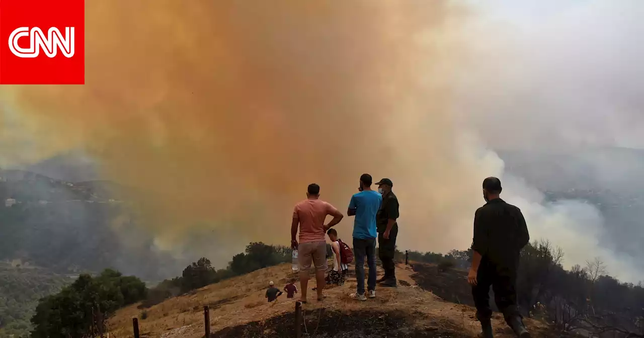 مصرع 26 شخصًا مع اتساع نطاق حرائق الغابات شرق الجزائر