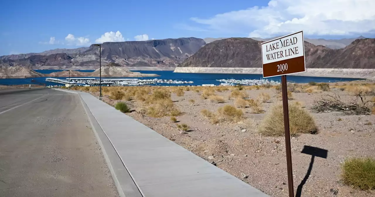 Amid Warnings of 'Catastrophic Collapse,' Feds Cut Colorado River Water Use in Arizona, Nevada