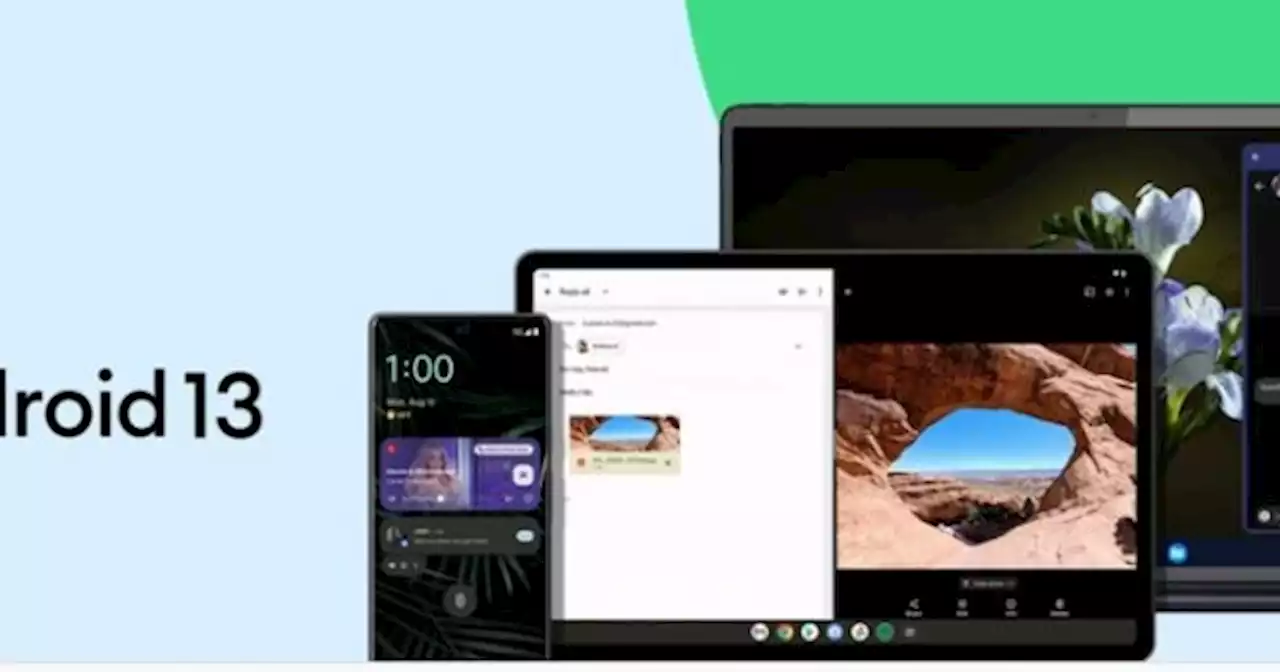 Android 13 ya est� disponible: quienes pueden descargarlo y c�mo hacerlo