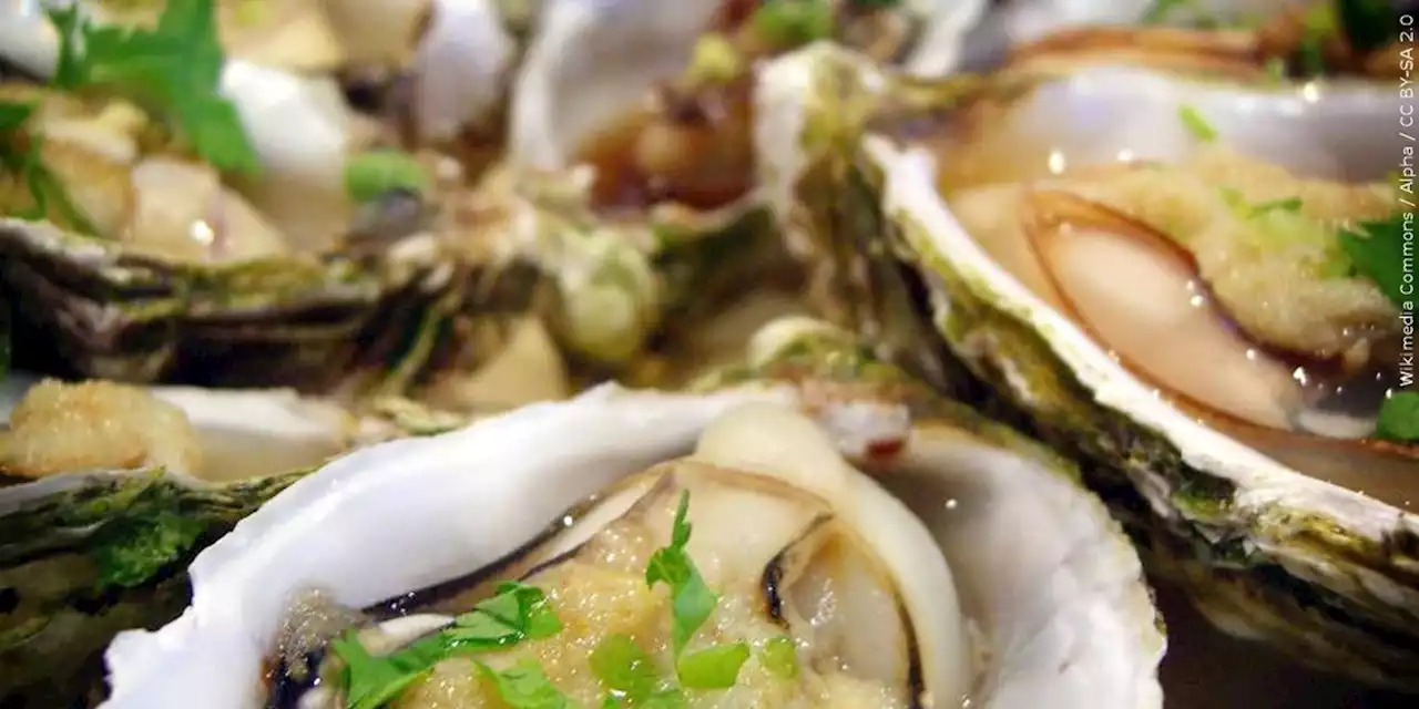 2 deaths in Florida linked to raw oysters from Louisiana