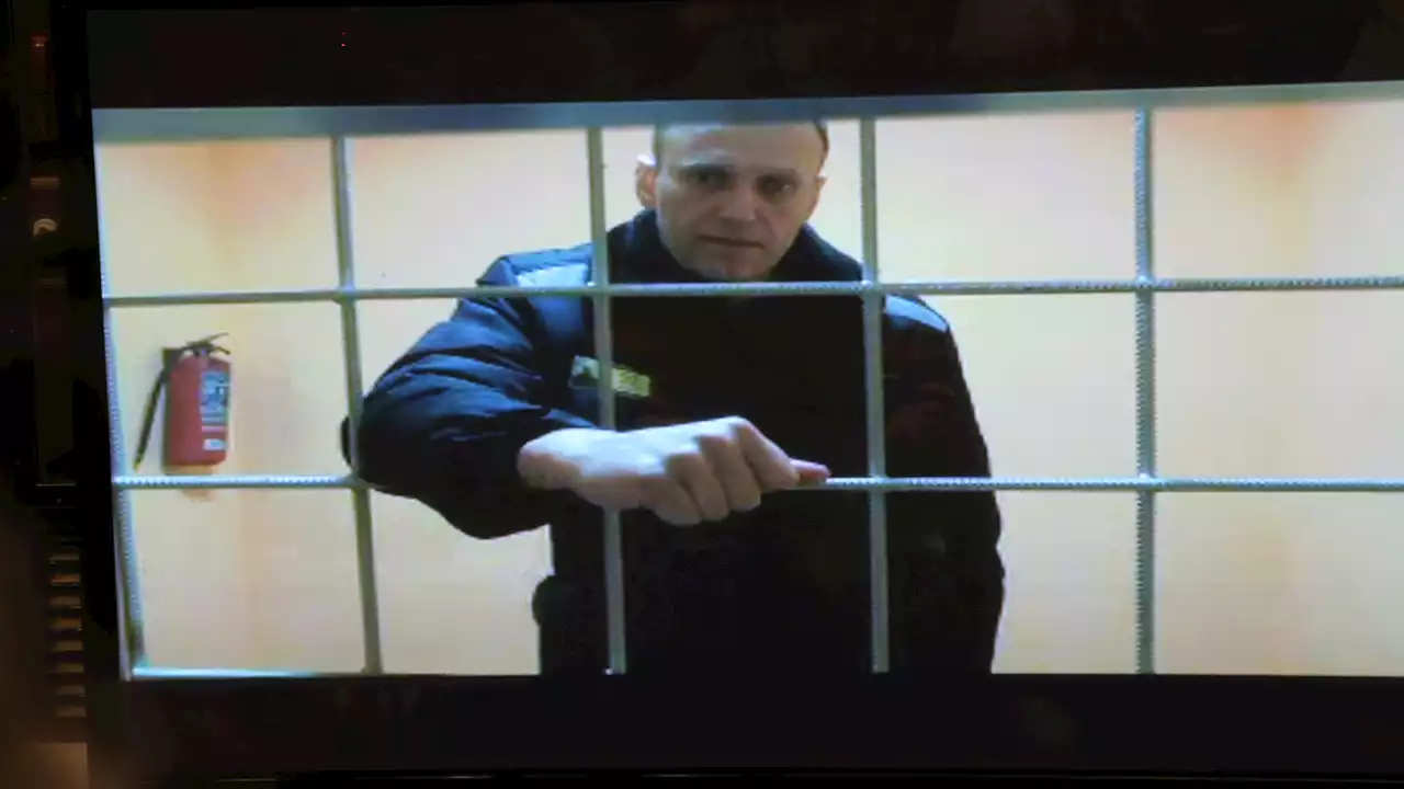 Alexei Navalny shares message from solitary confinement: 'Harshest punishment in the legal prison hierarchy'