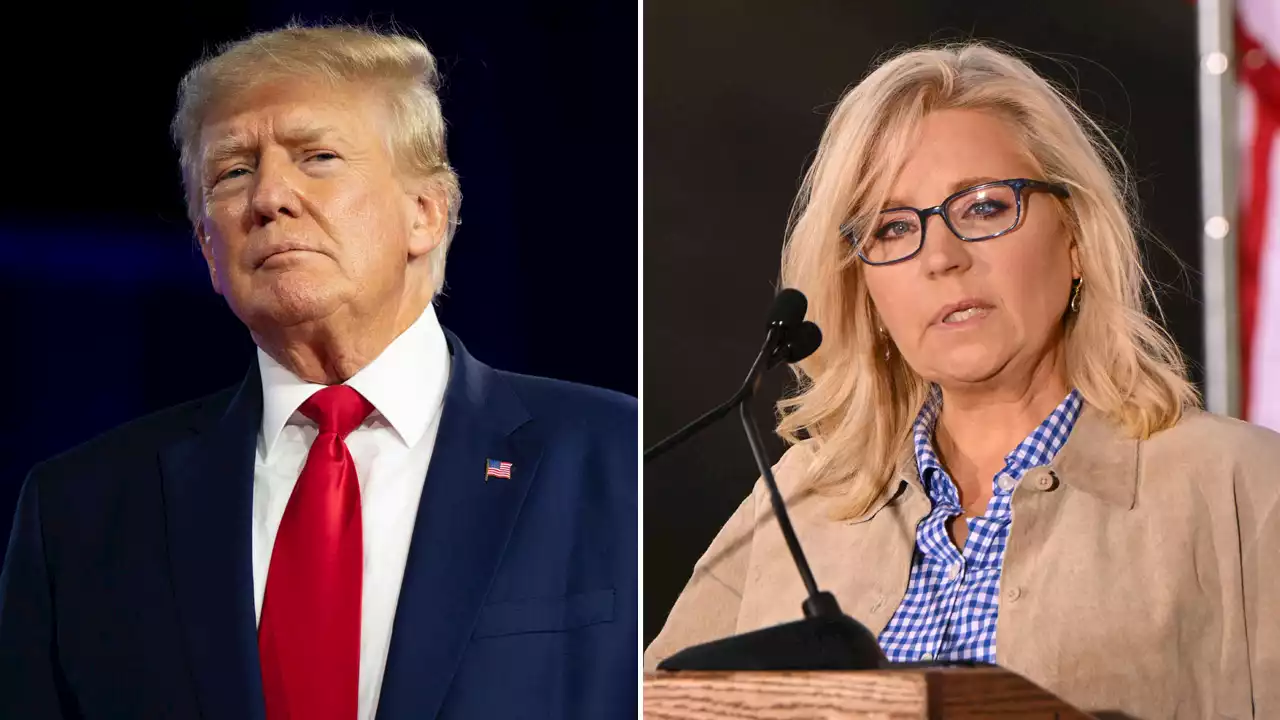 Strategists suggest it's 'highly doubtful' Liz Cheney could win the White House in 2024