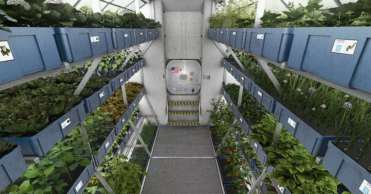 Plans Announced for Full Greenhouse on International Space Station