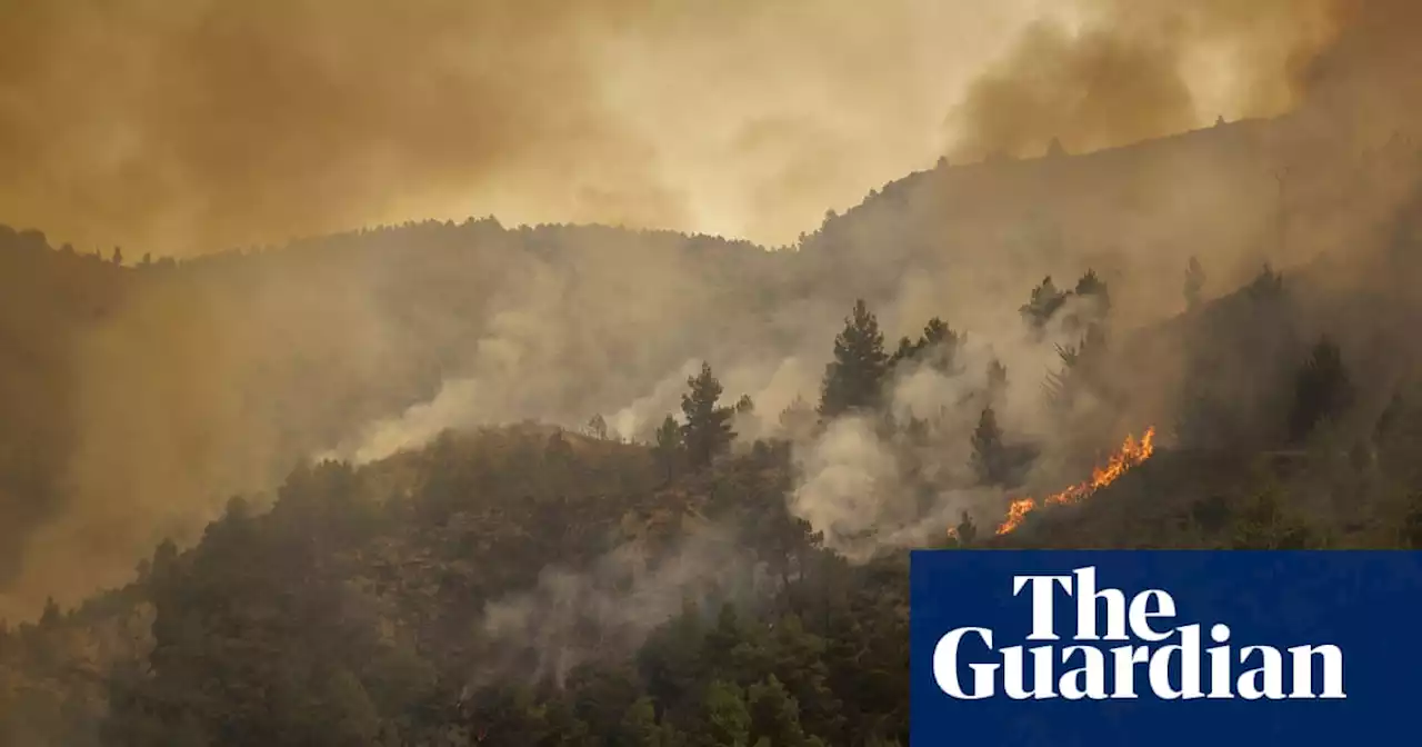 Spain wildfires: up to 20 injured after passengers break out of train engulfed by flames