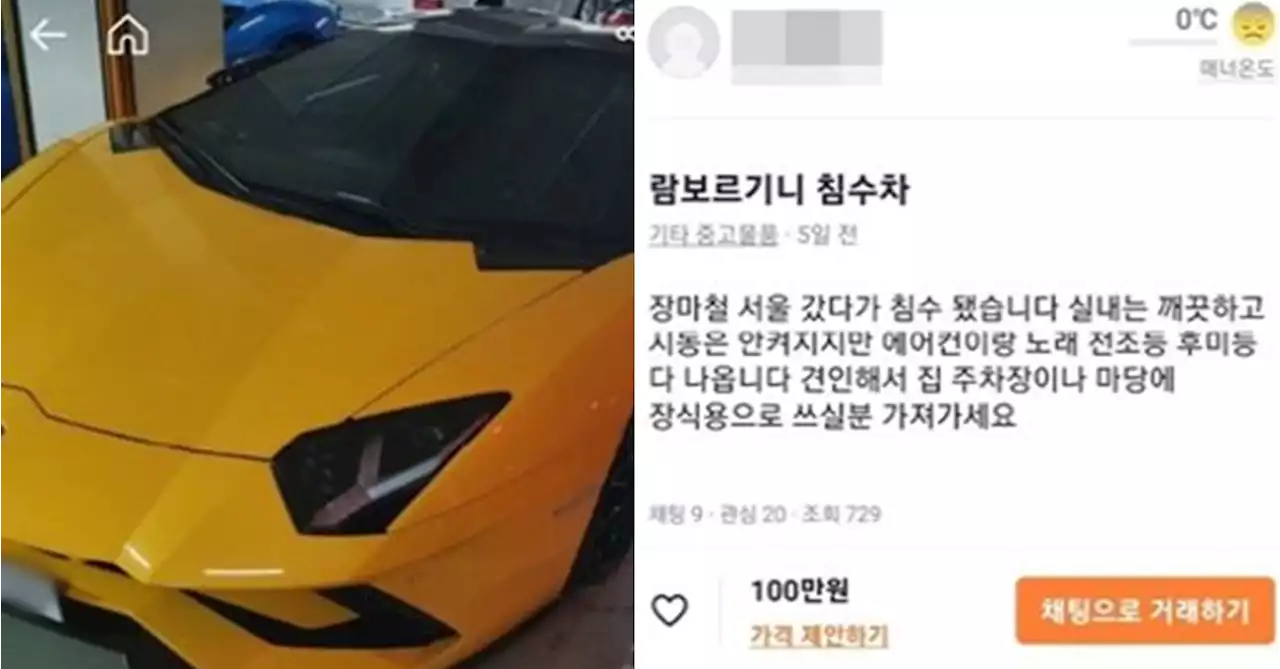 '6억 람보르기니'가 100만원? 당근마켓에 등장한 침수차 판매글