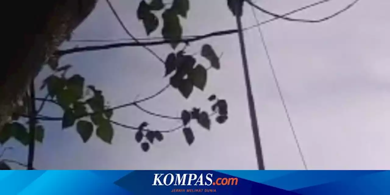 Heroik, Satpam di Lombok Timur Panjat Tiang Bendera 15 Meter Demi Ambil Tali