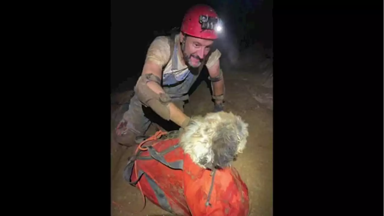 Climbers rescue dog from cave 2 months after pup was reported missing