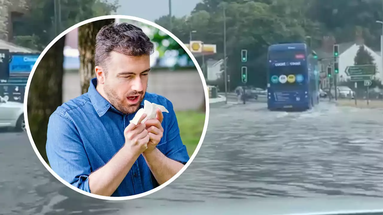 'Thunder fever' to strike again: Warning as heavy rain expected to trigger rare weather phenomenon