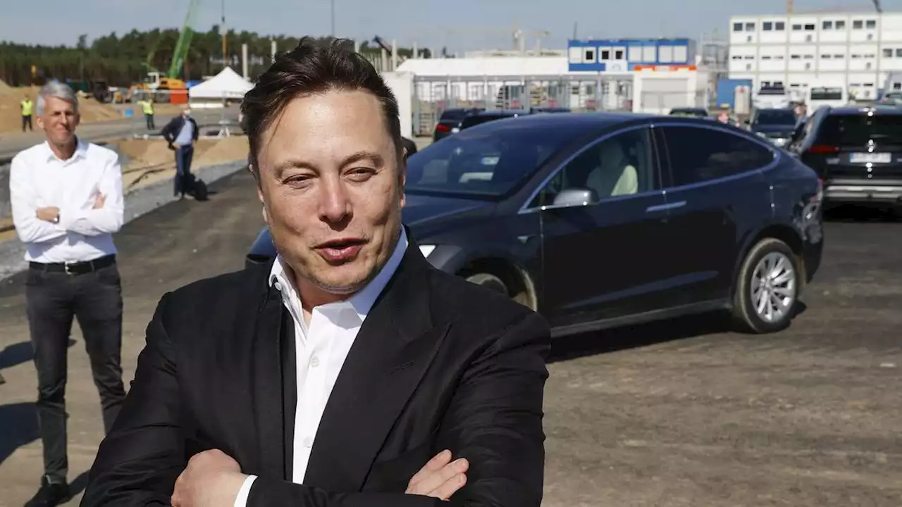 Elon Musk Umumkan Beli Manchester United, Bayar Berapa?