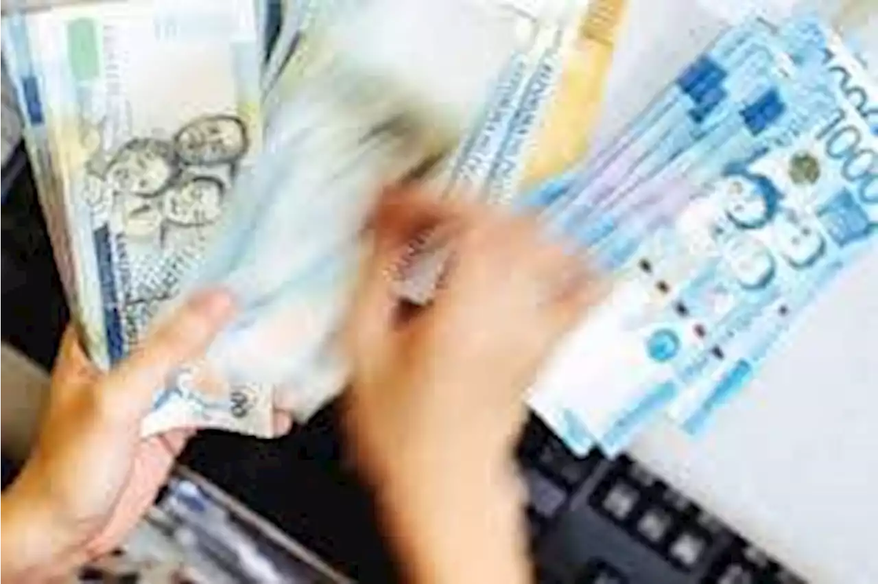 BSP bans 2 more money service firms