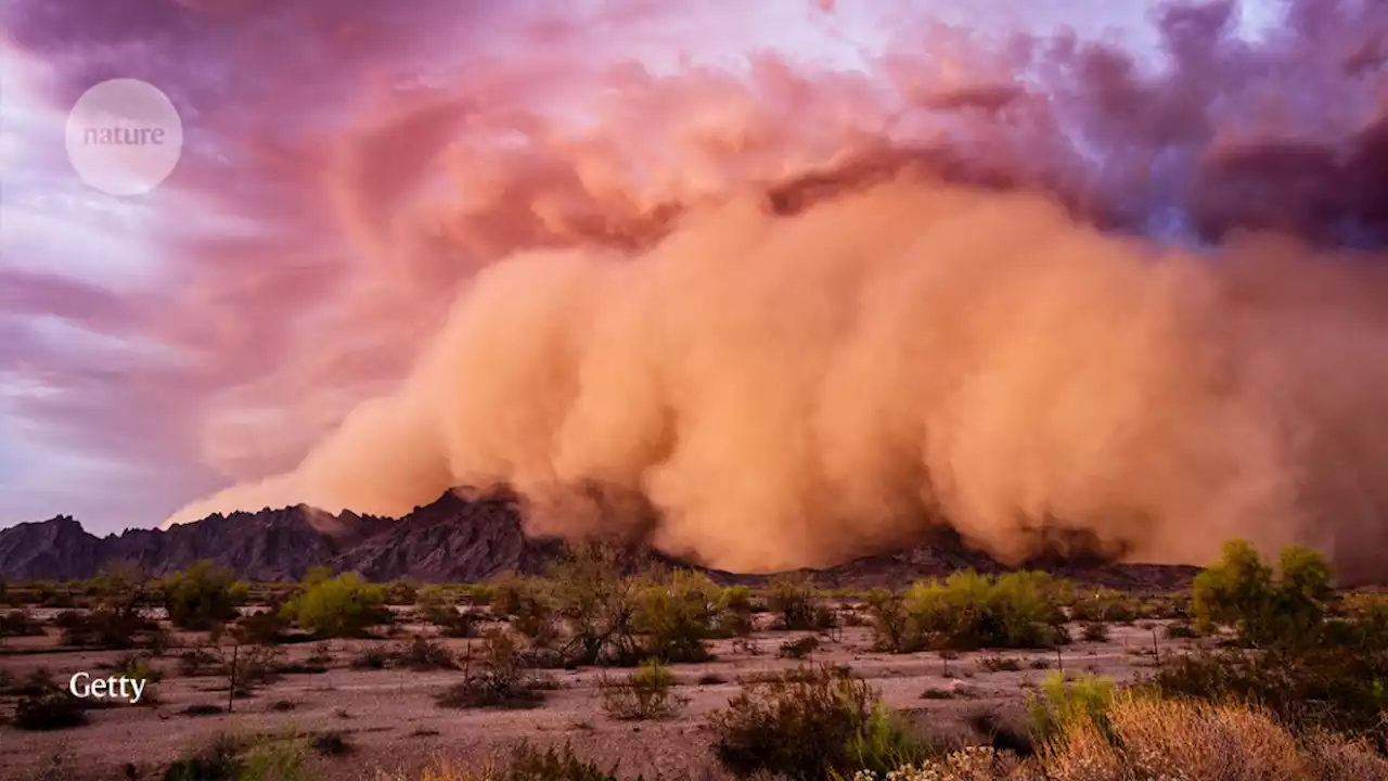 Multicoloured Mars, drone delivery and dust-storm disease