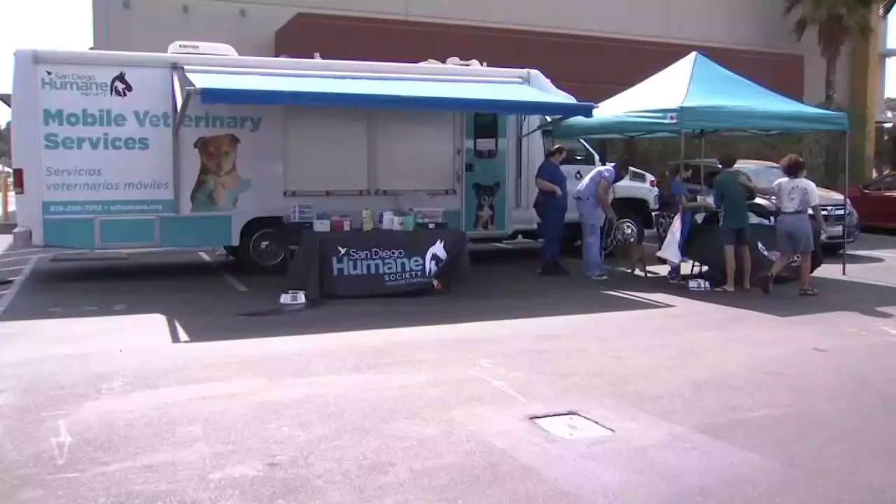 Low-Cost Pet Care, Medical Services Offered in San Diego Humane Society's New Program