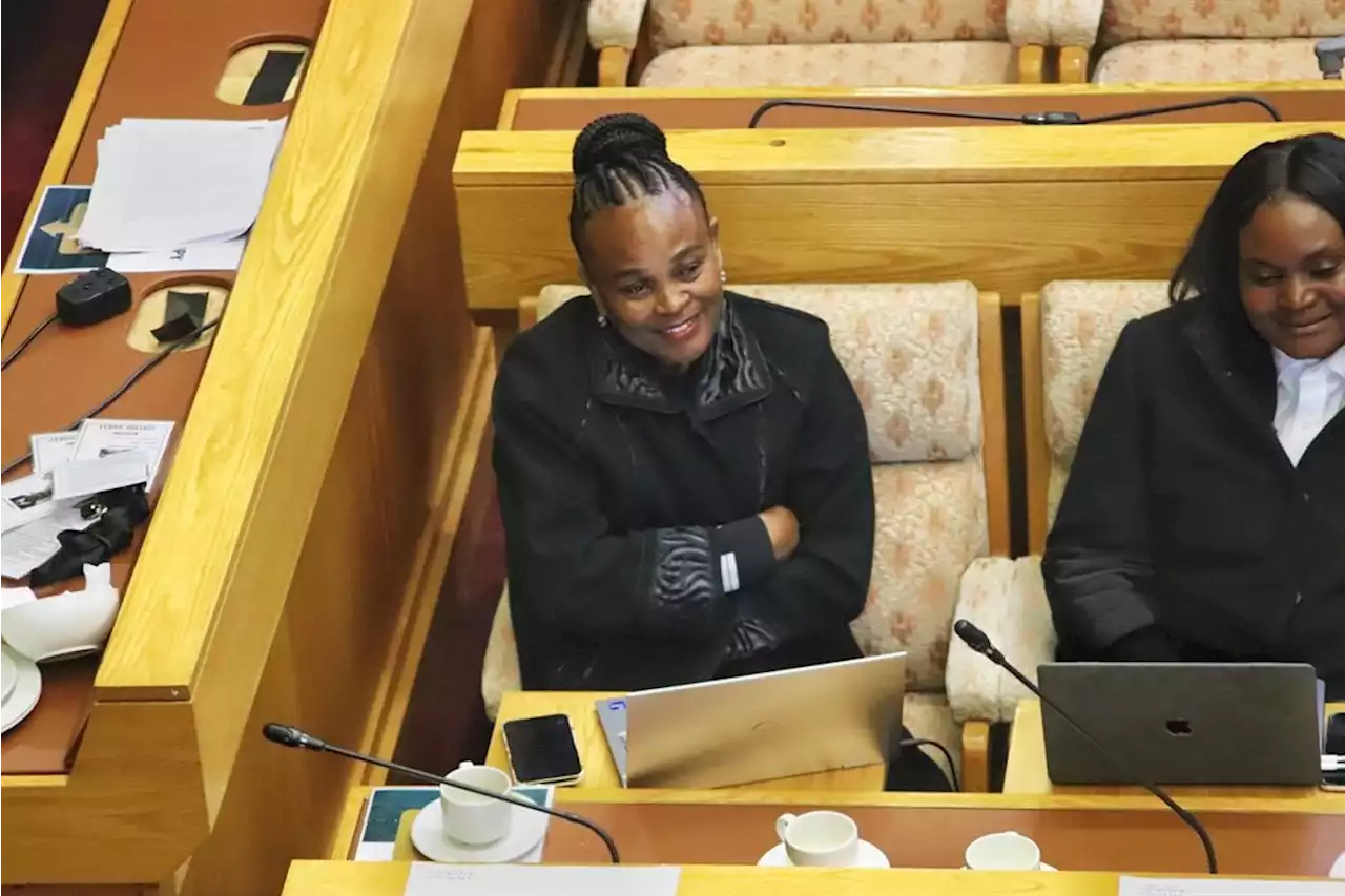 Mkhwebane didn't want to work with colleague who called her 'Busisiwe' | News24