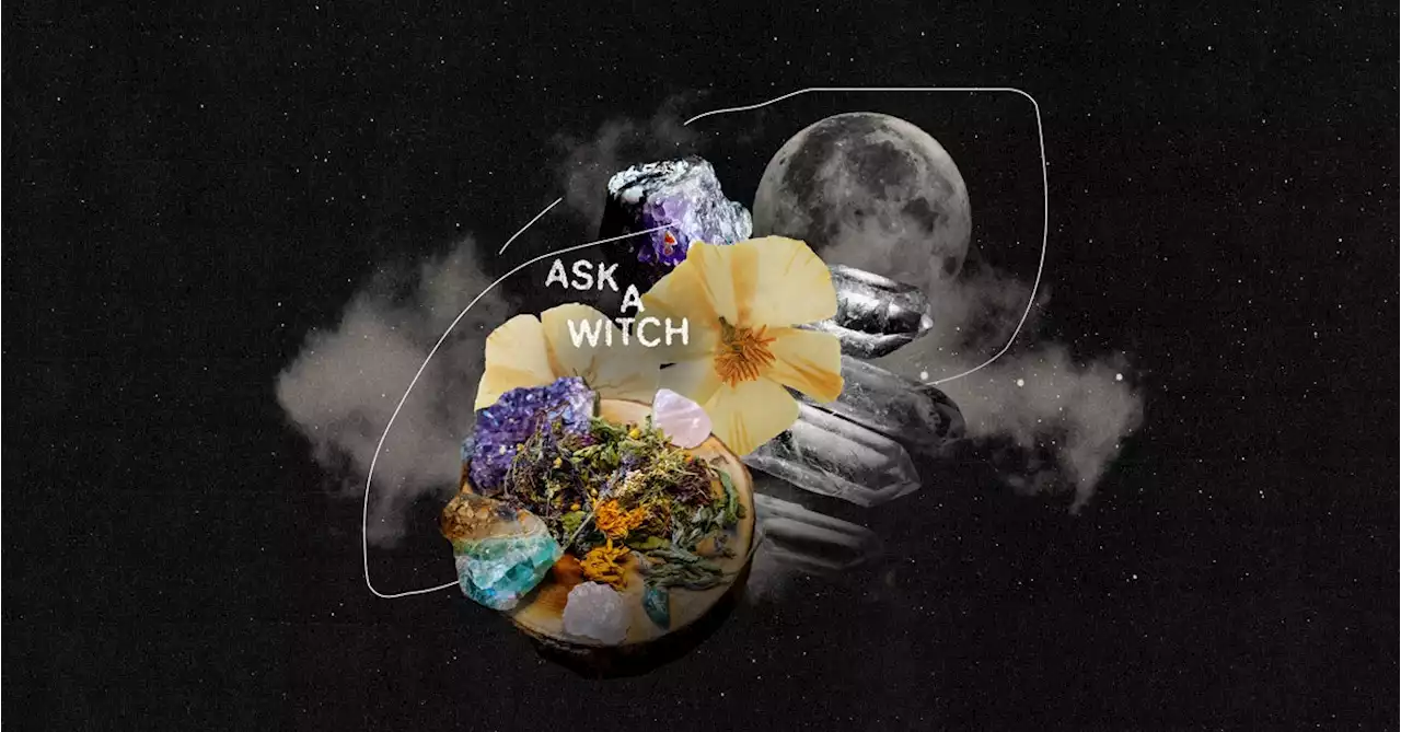 Ask A Witch: All About Flower Essences