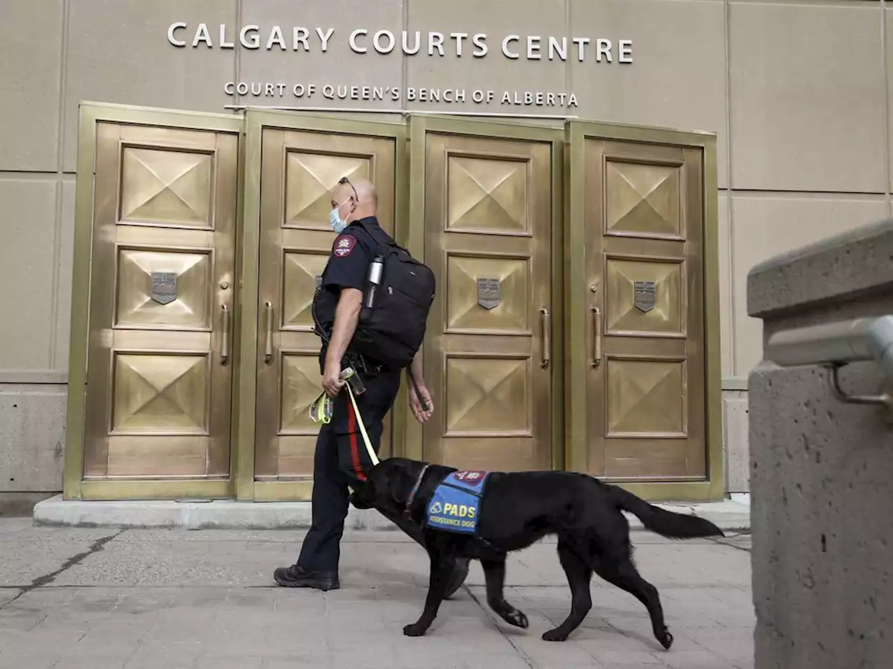 Crown calling for sentence of up to 12 years for man in multi-million dollar fraud