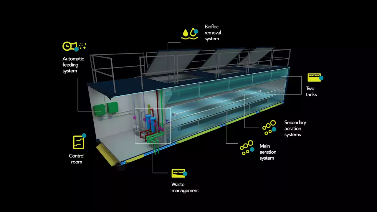 This startup wants to farm shrimp in computer-controlled cargo containers