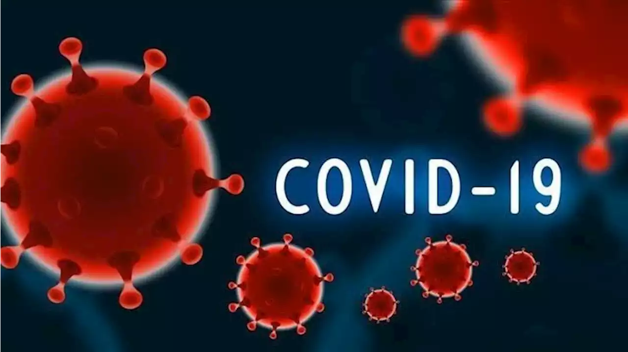 COVID-19: Nigerian Agency, NCDC Records 144 New Cases In Lagos, Abia, Others | Sahara Reporters