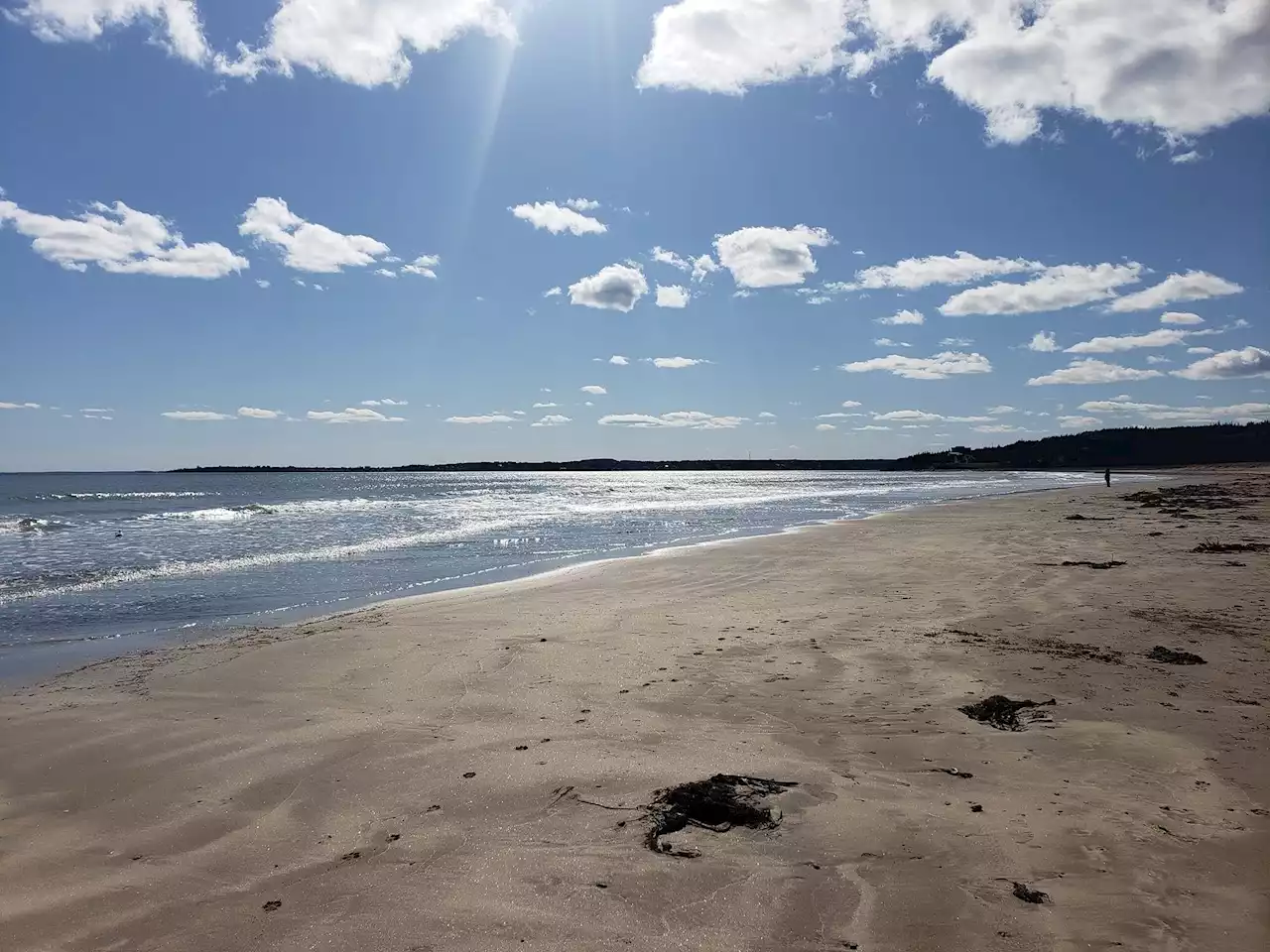 BEACHES OF ATLANTIC CANADA: Conrad's Beach, N.S. | SaltWire