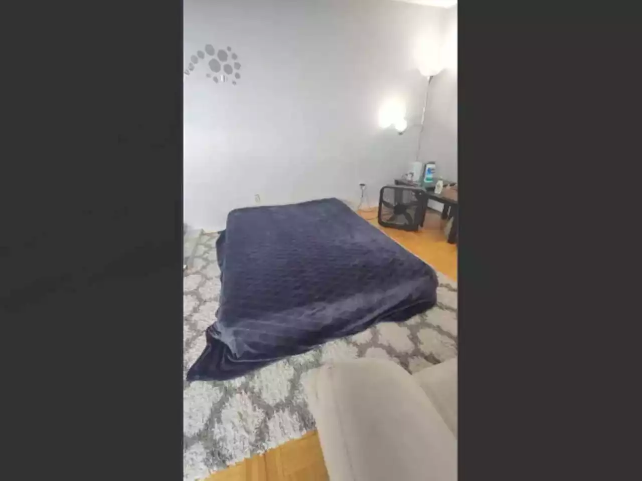 Mattress for rent: Toronto Kijiji ad offers bed on a living room floor for $800 per month | SaltWire