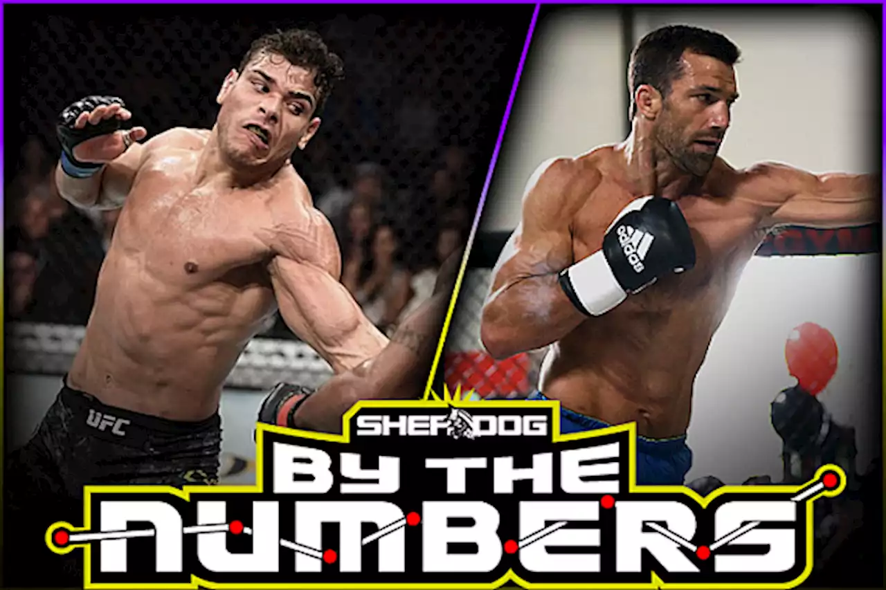 By The Numbers: Paulo Costa vs. Luke Rockhold