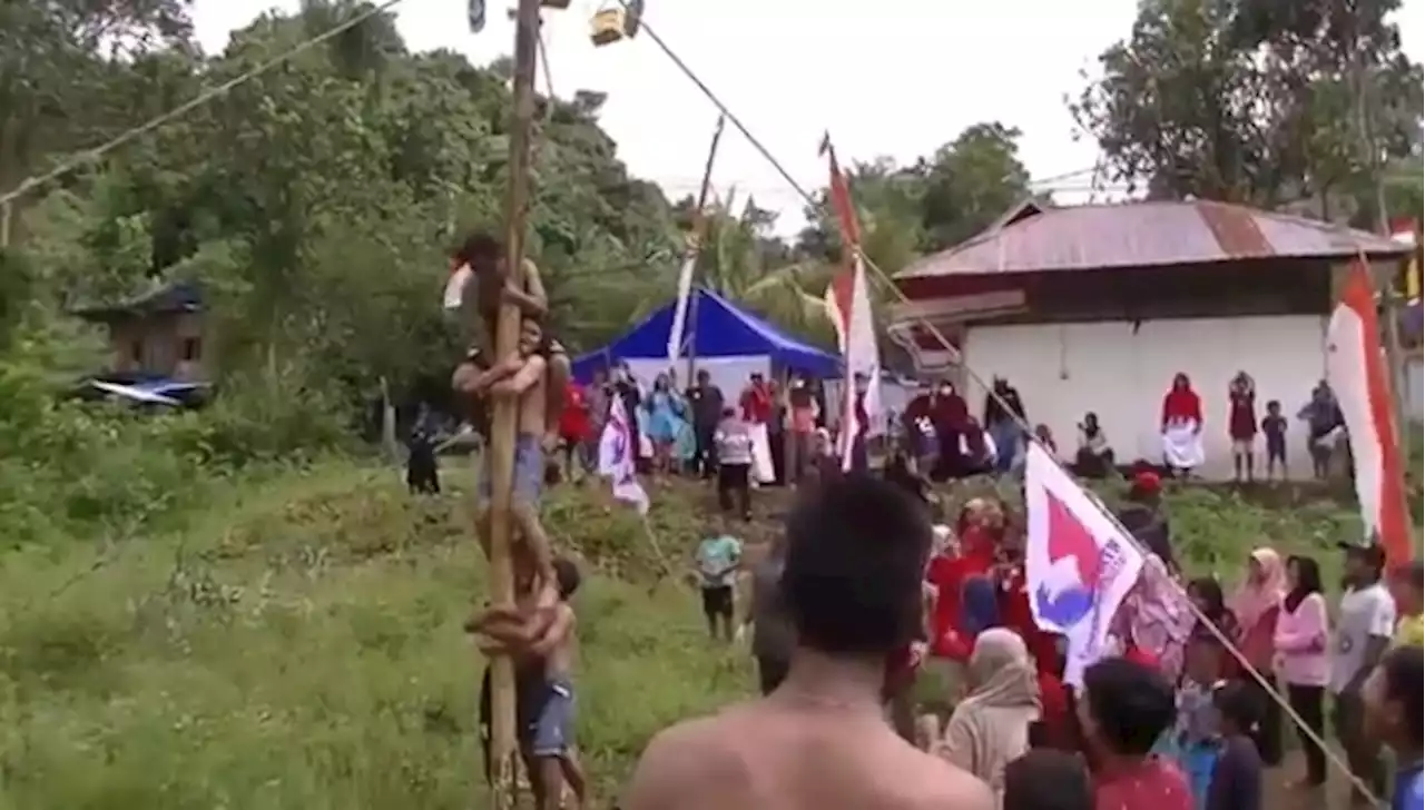 Meriahkan HUT ke-77 RI, Perindo Sulbar Gelar Lomba Panjat Pinang