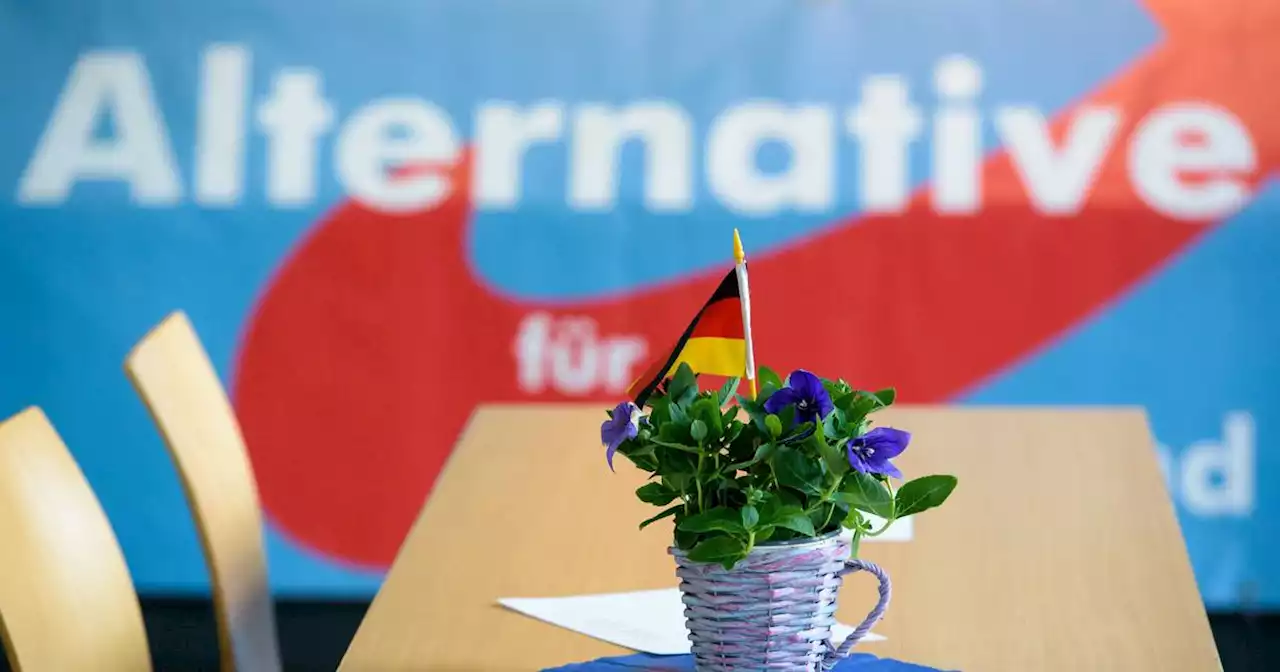 Im Saar-Landtag: Dreiköpfige AfD-Fraktion leistet sich 14 Mitarbeiter – darunter die Ehefrau eines Abgeordneten