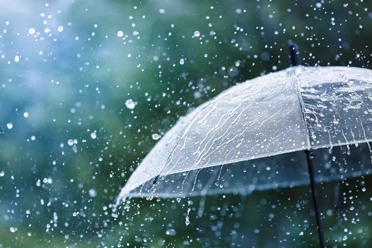 Level 2 warning: Disruptive rain, damaging winds expected in parts of Western Cape | The Citizen