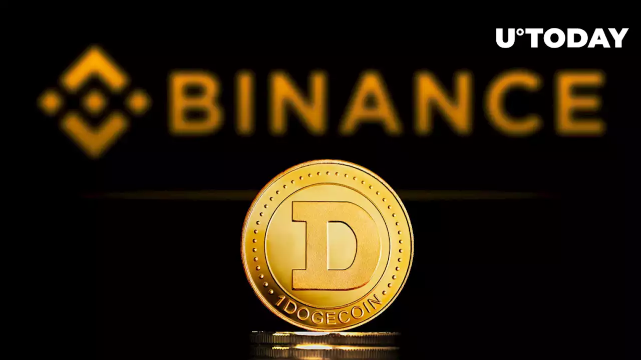 776 Million Dogecoin Moved by Anons, 1/3 Goes to Binance: Details