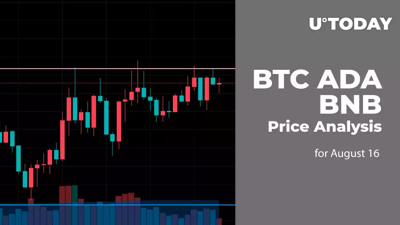 BTC, ADA and BNB Price Analysis for August 16