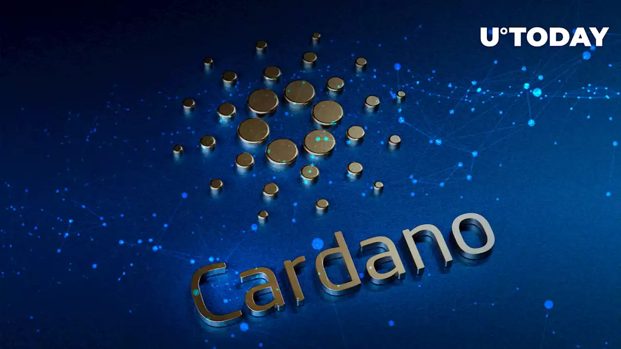 Cardano's Djed Stablecoin Scores Another Partnership Ahead of Launch