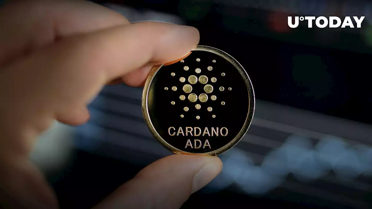 Cardano Vasil: Release of Latest Specification to Speed up Integration